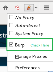 burpsuite