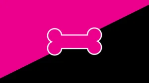 Conduwuit : Pioneering A New Era In Matrix Homeservers