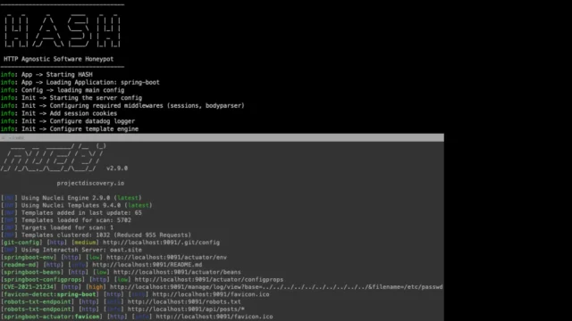 HASH : Harnessing HTTP Agnostic Software Honeypots For Enhanced Cybersecurity