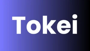 Tokei : The Developer’s Guide To Codebase Analytics