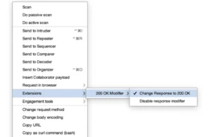 200-OK-Modifier : Mastering Web Application Analysis And Penetration Testing