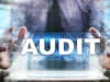 Audits Portfolio : Tools And Functions