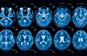 Blindsight : Advanced Techniques In Red Teaming And LSASS Memory Exploitation