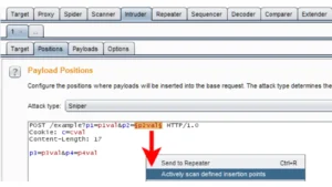 Burp-Rxss-scan-TG : Enhancing XSS Scanning With Burp Suite Extensions