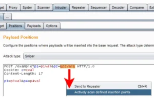 Burp-Rxss-scan-TG : Enhancing XSS Scanning With Burp Suite Extensions