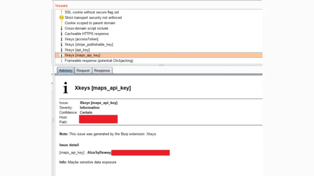 BurpSuite-Xkeys : Mastering Key And Token Extraction For Web Security