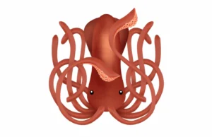 Squid : A RISC-V Emulator For Vulnerability Research