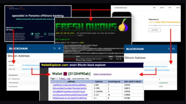 Unveiling Offshore Banking And Dark Web Operations via Blockchain Analysis : An OSINT Case Study