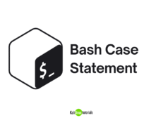 Mastering the Bash Case Statement with Simple Examples Bash Case Statement