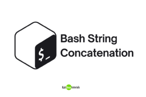Bash String Concatenation – Bash Scripting