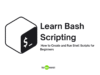 Learn Bash Scripting: How to Create and Run Shell Scripts for Beginners learn bash scripting