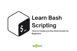 Learn Bash Scripting: How to Create and Run Shell Scripts for Beginners