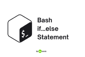 Bash if…else Statement – Bash Scripting