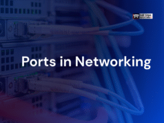 Port In Networking ports in networking