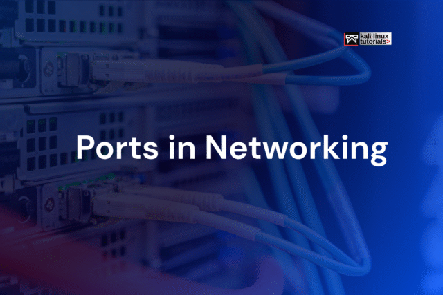 Port In Networking ports in networking