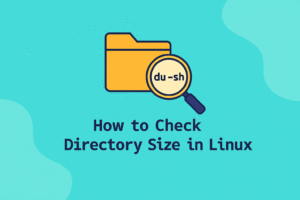 How to Check Directory Size in Linux